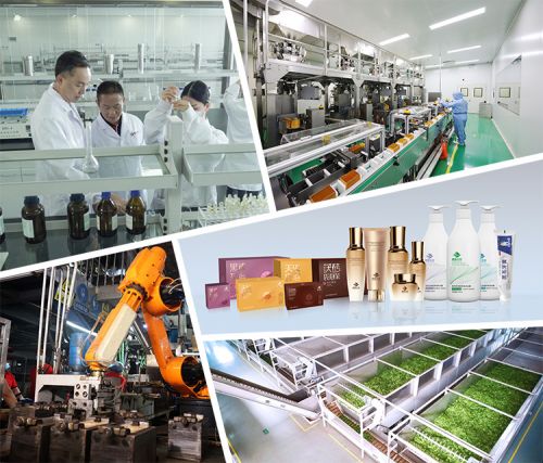 理想華萊兩項(xiàng)茶葉加工設(shè)備技術(shù)獲國家實(shí)用新型專利授權(quán)