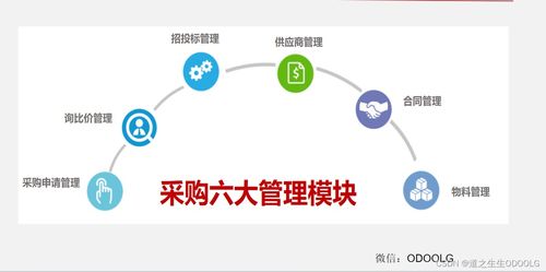 優(yōu)秀采購管理的七大核心流程與模塊 一張圖掌握所有干貨（含高風(fēng)險運(yùn)動項(xiàng)目專項(xiàng)解析）